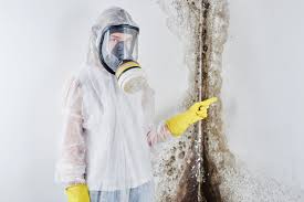 Best Emergency Mold Remediation in Bystrom, CA